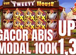 The Tweety House Slot Hari Ini Live Streaming Youtube Streaming